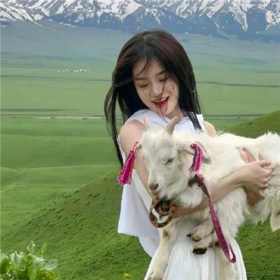 狡猾的兔小姐