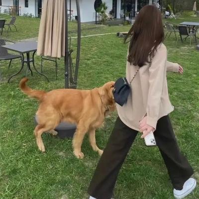 圈圈里的爱
